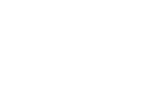 celeb luxury logo